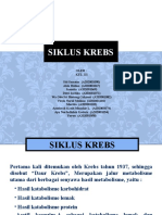 Siklus Krebs - Kel