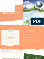 Presentation On Environment