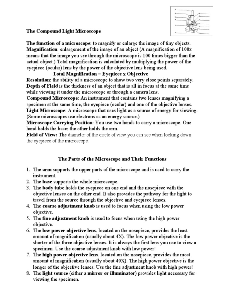 The Compound Light Microscope PDF Radiation