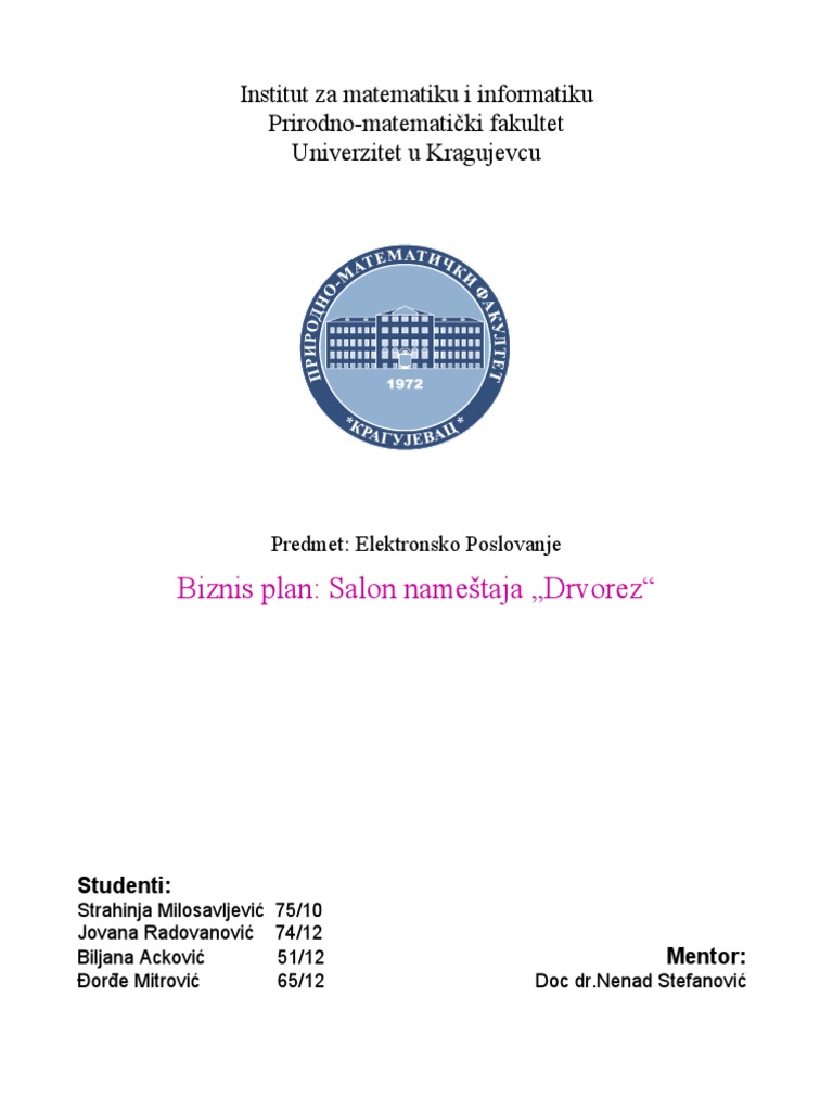 Biznis Plan | PDF