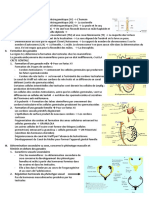 Résumé - Gamétogénèse