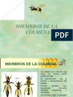 M 1. - Miembros de La Colmena - 2006