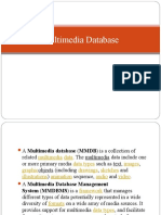 Int309 Multimedia Databases