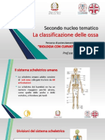 La Classificazione Delle Ossa