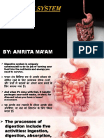 Digestive System पाचन तंत्र: By: Amrita Ma'Am