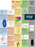 Presentación de La Neurona