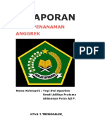 Laporan: Hasil Penanaman Anggrek