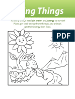 All Sorts of Living Things Workbook