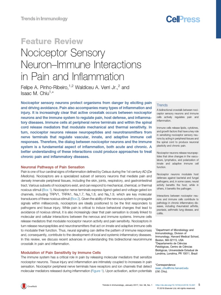 Nociceptor Sensory Neuron-Immune Interactions in Pain and Inflammation ...