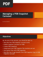 Managing A PDB Snapshot Carousel