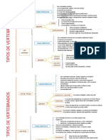 Esquema Vertebrados