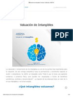 ANEPSA Valuación de Intangibles I Avaluos Certificados