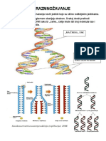 11-Razmnožavanje I Evolutivne Adaptacije