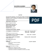 CV Luis Saucedo H