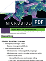 4 Bacterial Respiratory Tract - En.id