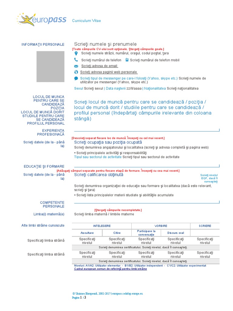 CV - Ro de Completat | PDF