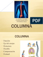 Columna General