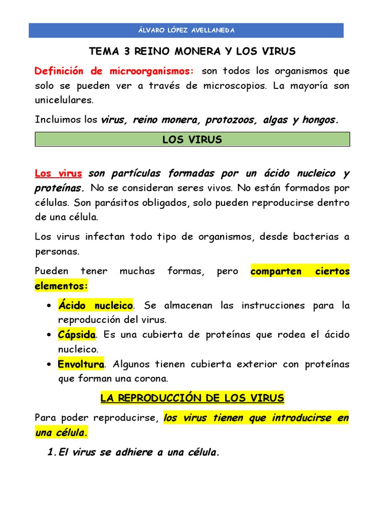 Virus y Reino Monera: Características | PDF | Hongo | Algas