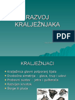 Razvoj Kraljeznjaka