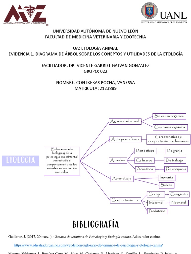Diagrama de Arbol | PDF