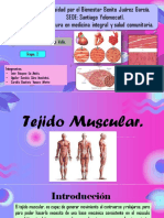 Tejido Muscular