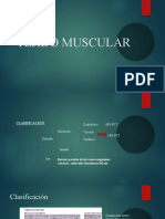 Músculo estriado: estructura y contracción