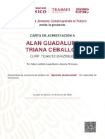 Alan Guadalupe Triana Ceballos: El Programa Emite La Presente