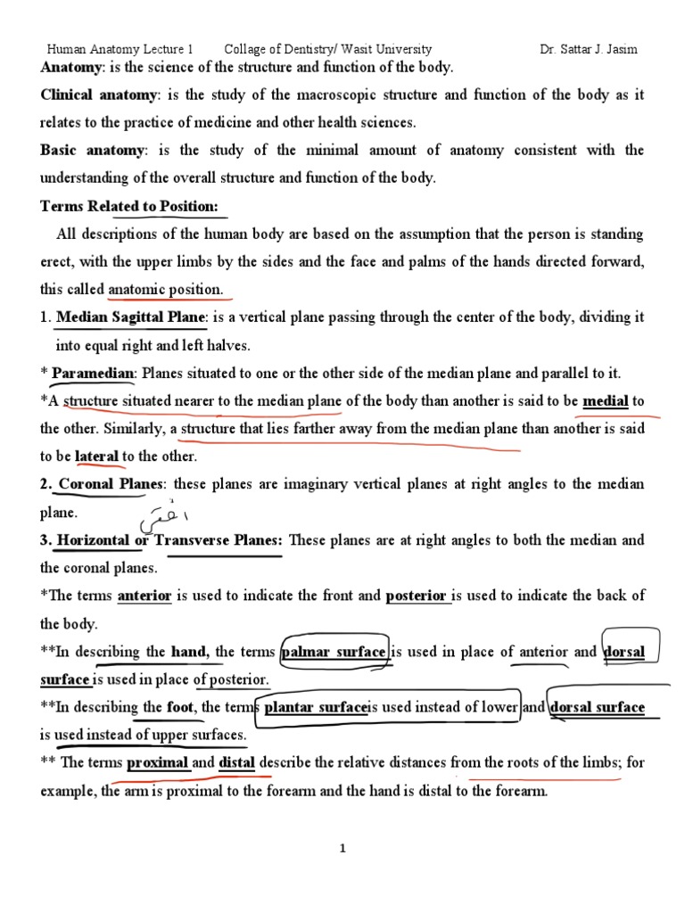 1-pdf-skull-anatomical-terms-of-motion