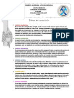 Tarea Patología Adaptaciones y Necrosis