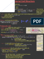 Bacterial Cell Structure 