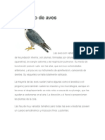 Concepto de Aves