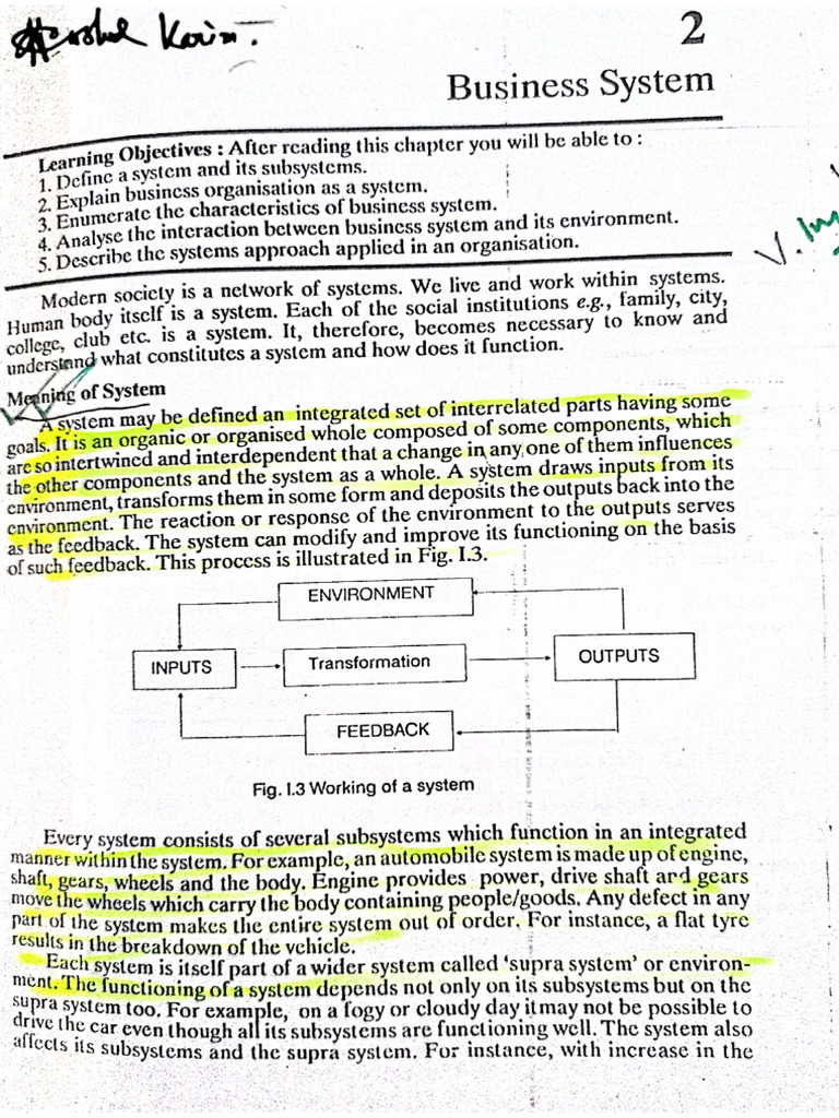 Chapter 2 Business System | PDF