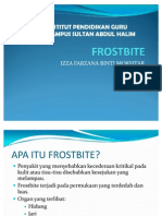 Presentation~Frostbite