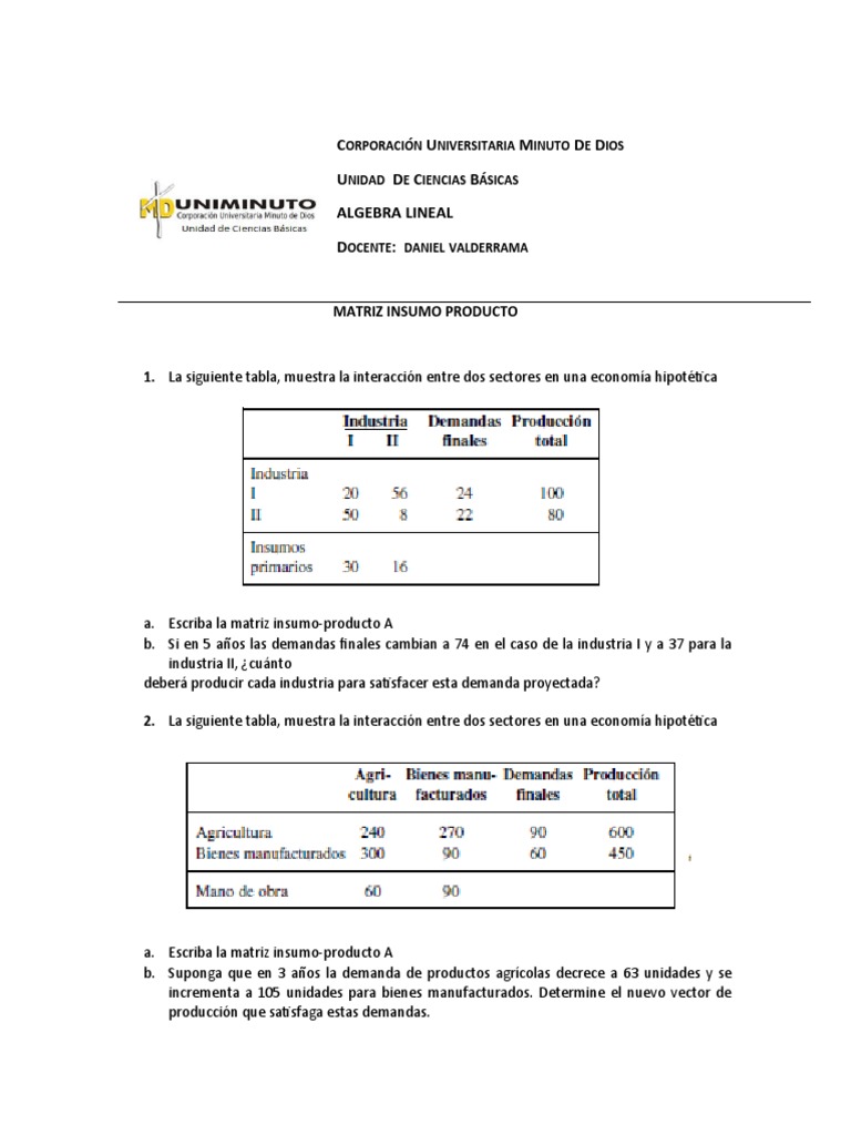 Actividad Matriz Insumo-Producto | PDF