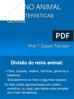 Animais Invertebrados e Vertebrados