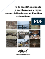 Guía para la identificación de tiburones y rayas en el Pacífico