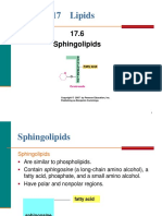 17.6 Sphingolipids