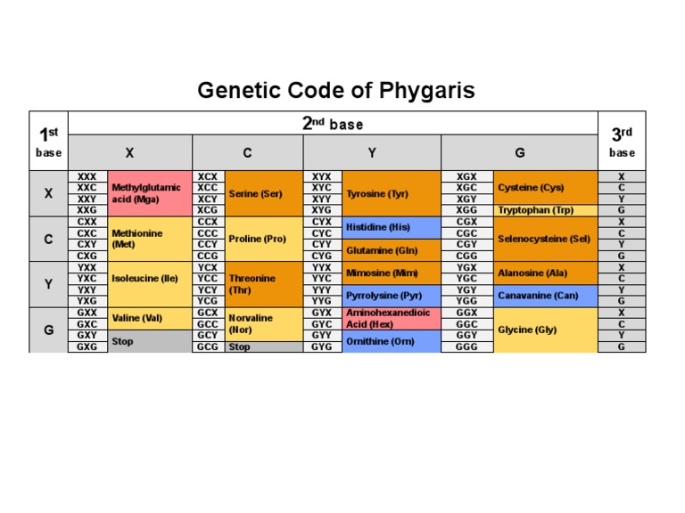 Genetic Code of Phygaris | PDF | Organic Compounds | Biochemistry