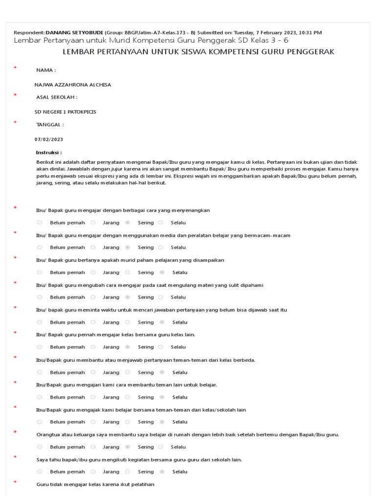 Questionnaire Report Pdf