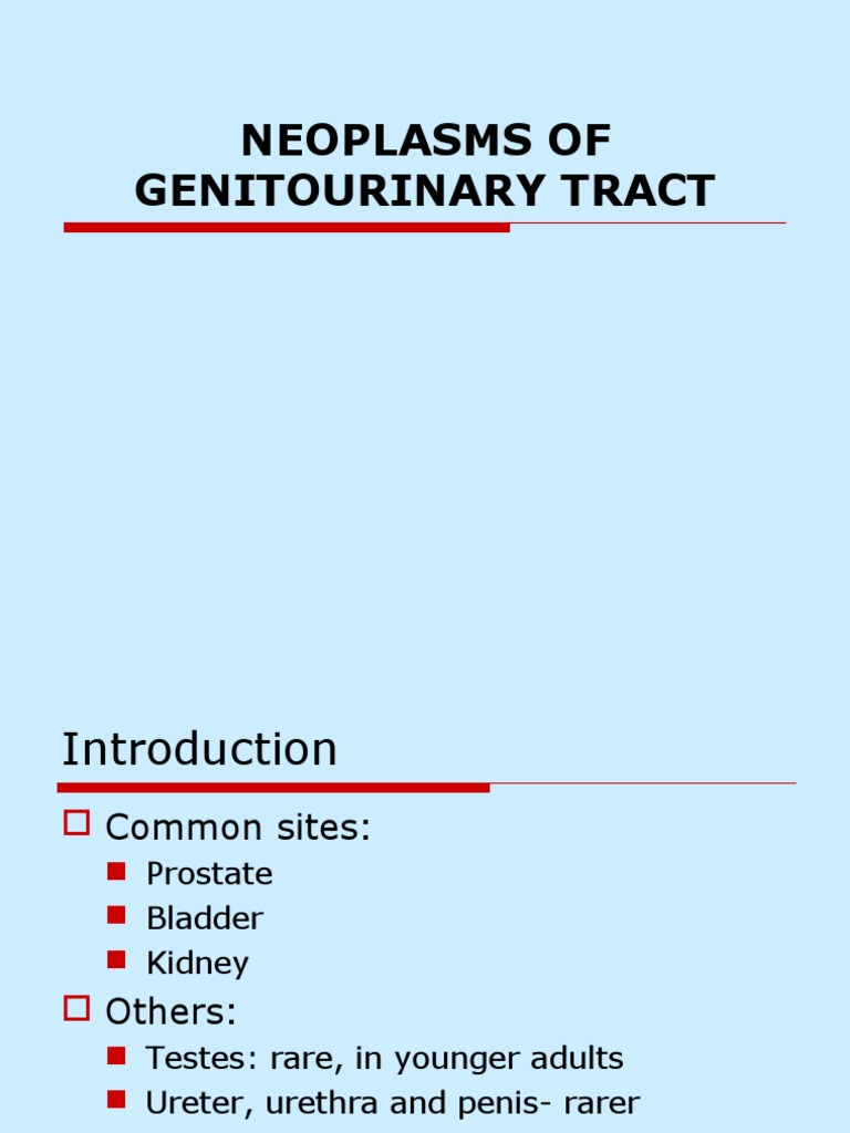 Neoplasms of The Genitourinary Tract | PDF | Prostate Cancer | Metastasis