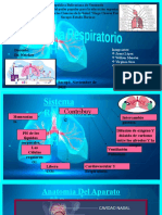 Sistema Respiratorio