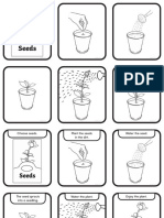 Us Se 11 Ebw Planting A Plant Multi Step Sequencing Cards Eco Black and White