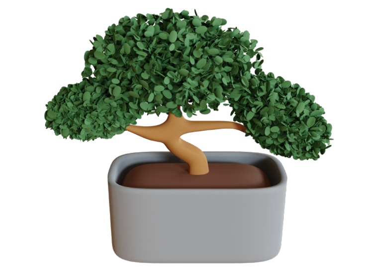 Bonsai | PDF