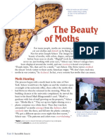 The Beauty of Moths: Moth Hunting