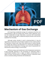 Mechanism of Gas Exchange