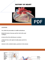 Anatomy of Heart