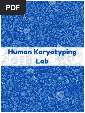 Human karyotyping