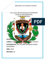 Uso y Manejo de Arma de Fuego Ii