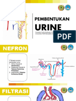 Pembentukan Urine