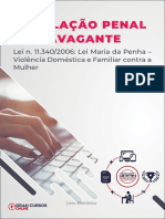 Lei N 11 340 2006 Lei Maria Da Penha Violencia Domestica e Familiar Contra A Mulher